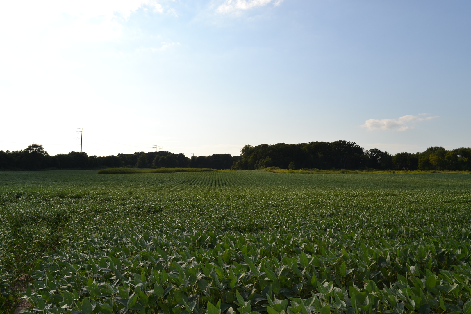 Lot001 Muirhead Road Elgin, IL 60124 - Photo 4 of 9
