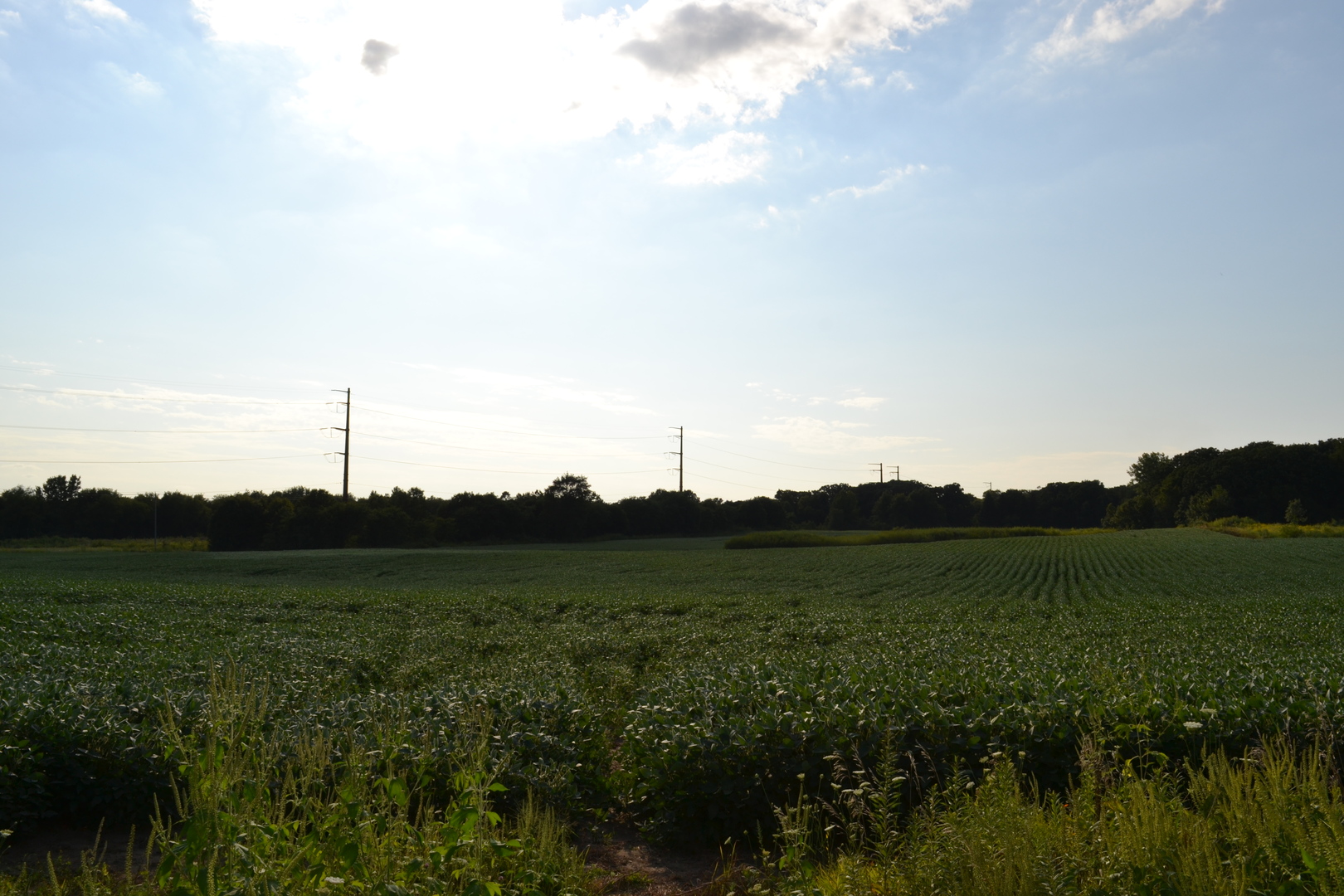 Lot001 Muirhead Road Elgin, IL 60124 - Photo 5 of 9