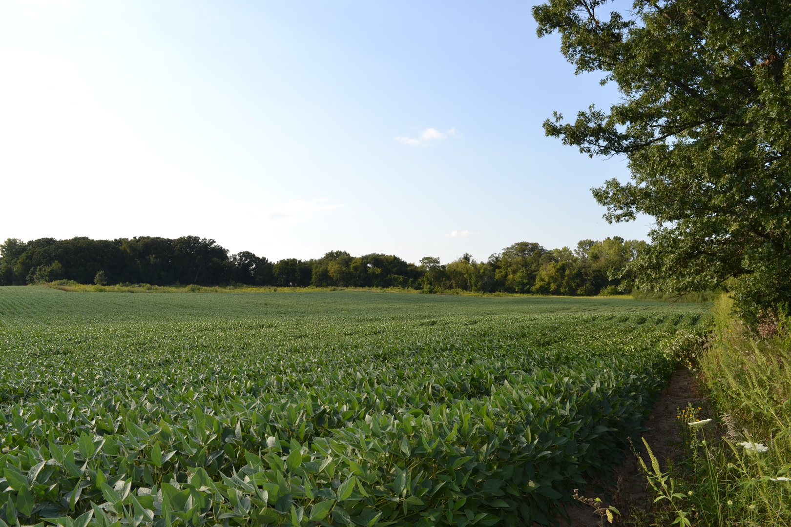 Lot001 Muirhead Road Elgin, IL 60124 - Photo 7 of 9