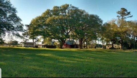 4701 McConnell Bridge Road Adel, GA 31620 - Photo 14 of 17 Gallery Image 14
