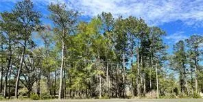$599,000 | 0 Highway 1088 Highway, Mandeville, LA 70448