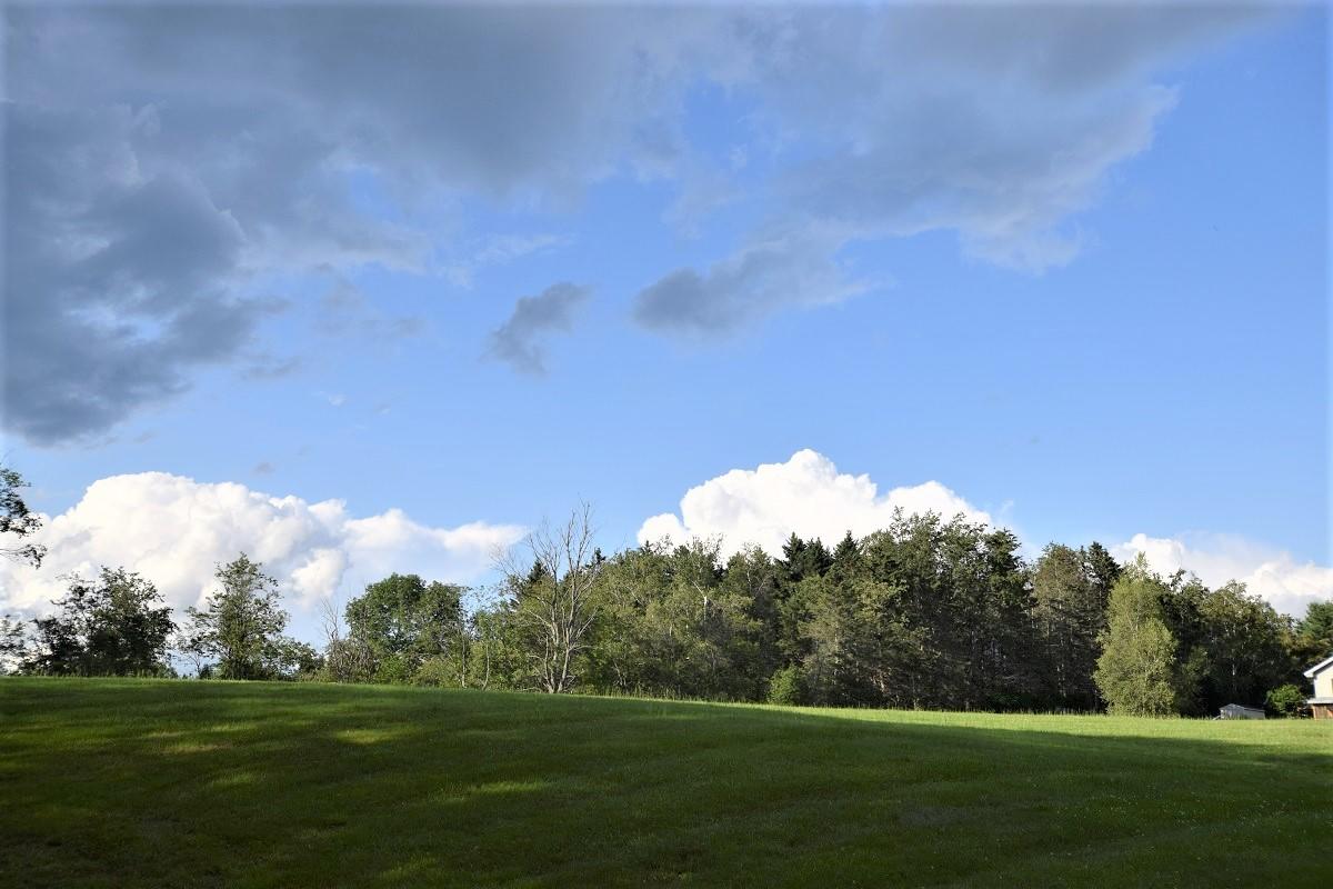 334 Hudson Road Glenburn, ME 04401 - Photo 46 of 50 Beautiful summer day...