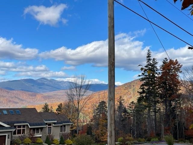 0 North Hampshire Ridge Road, Unit 110 Jackson, NH 03846 - Photo 12 of 12