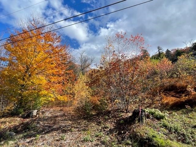 0 North Hampshire Ridge Road, Unit 110 Jackson, NH 03846 - Photo 3 of 12