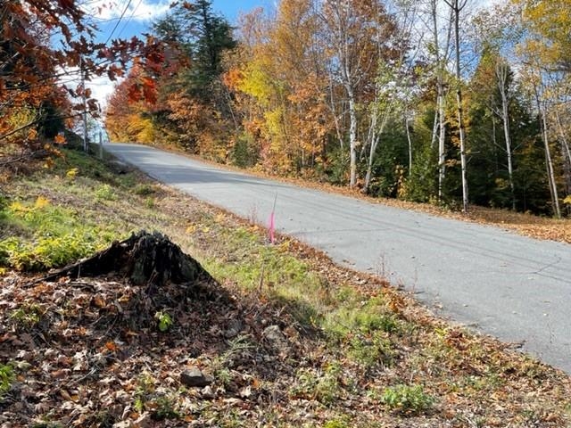 0 North Hampshire Ridge Road, Unit 110 Jackson, NH 03846 - Photo 8 of 12
