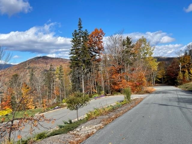 0 North Hampshire Ridge Road, Unit 110 Jackson, NH 03846 - Photo 9 of 12
