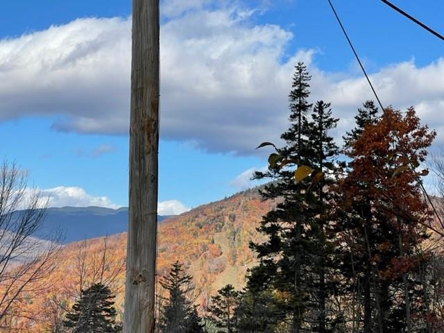 0 North Hampshire Ridge Road, Unit 110 Jackson, NH 03846 - Photo 10 of 12