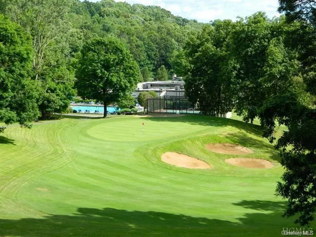 a view of a bunch of flowers in a bunch