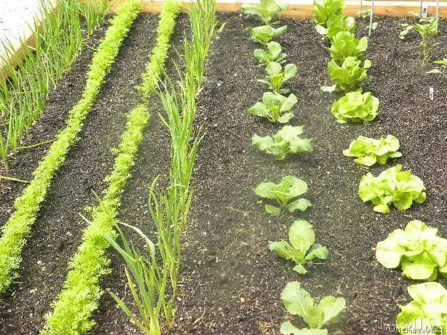 a view of a car in front of a house