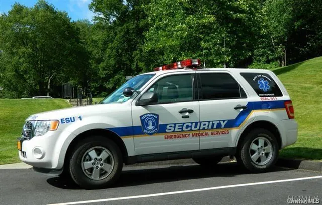 a view of a park with large trees