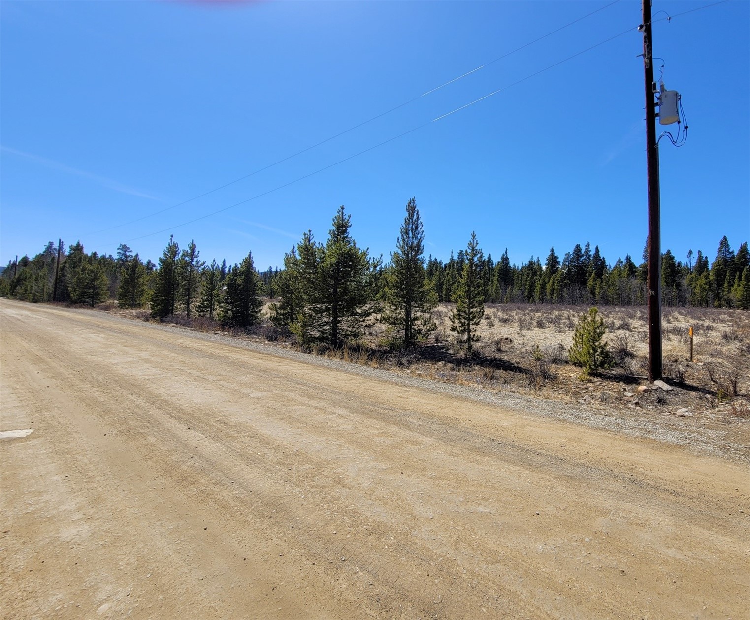 395 Wild Rye Road Fairplay, CO 80440 - Photo 16 of 20 Gallery Image 16