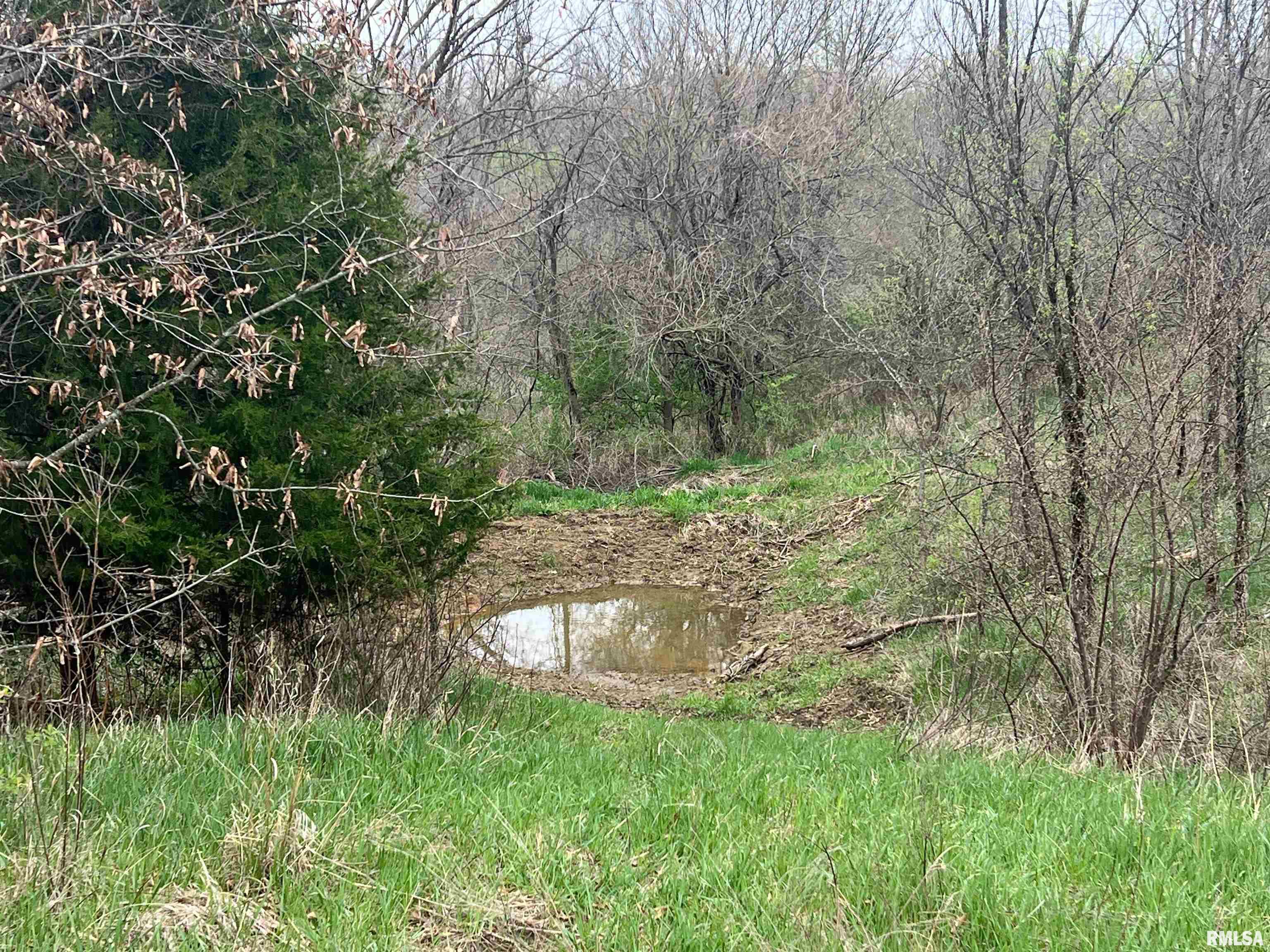 Rr Flower Creek Road Plymouth, IL 62367 - Photo 18 of 30