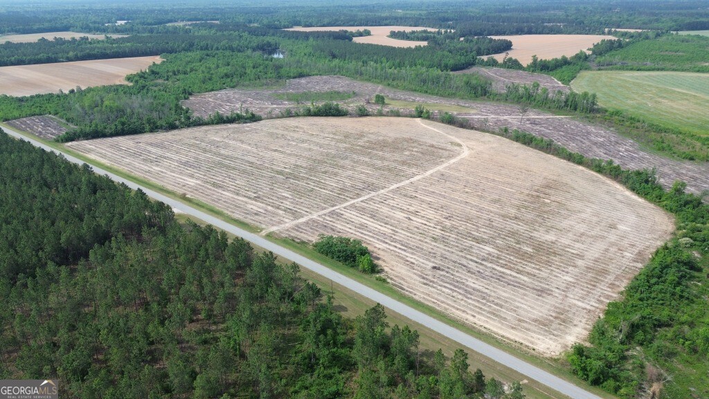0 Bunn Store Road, Unit TRACT 4 Midville, GA 30441 - Photo 1 of 16