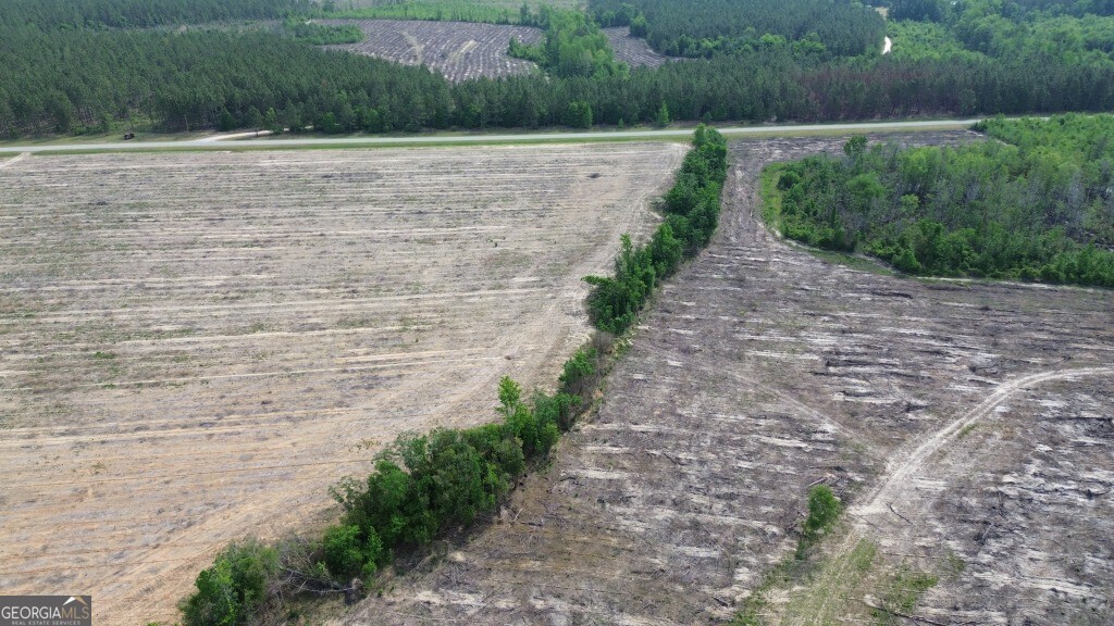 0 Bunn Store Road, Unit TRACT 4 Midville, GA 30441 - Photo 12 of 16 a view of a yard with plants and large trees