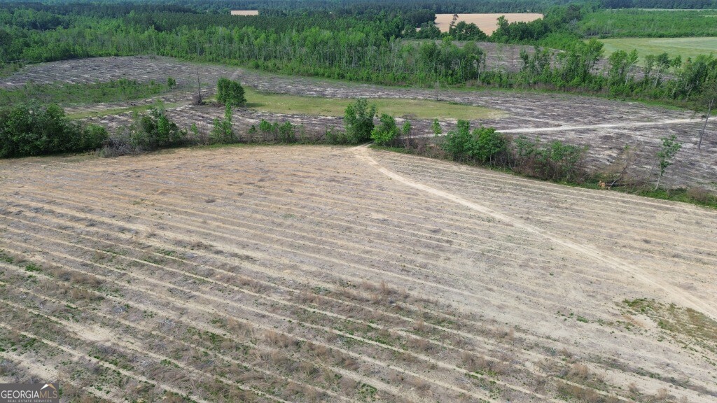 0 Bunn Store Road, Unit TRACT 4 Midville, GA 30441 - Photo 13 of 16 a view of a plants with yard