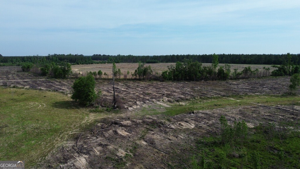 0 Bunn Store Road, Unit TRACT 4 Midville, GA 30441 - Photo 14 of 16 a view of a field