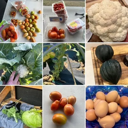 $490,000 | 12010 69th Street East, Parrish, FL 34219