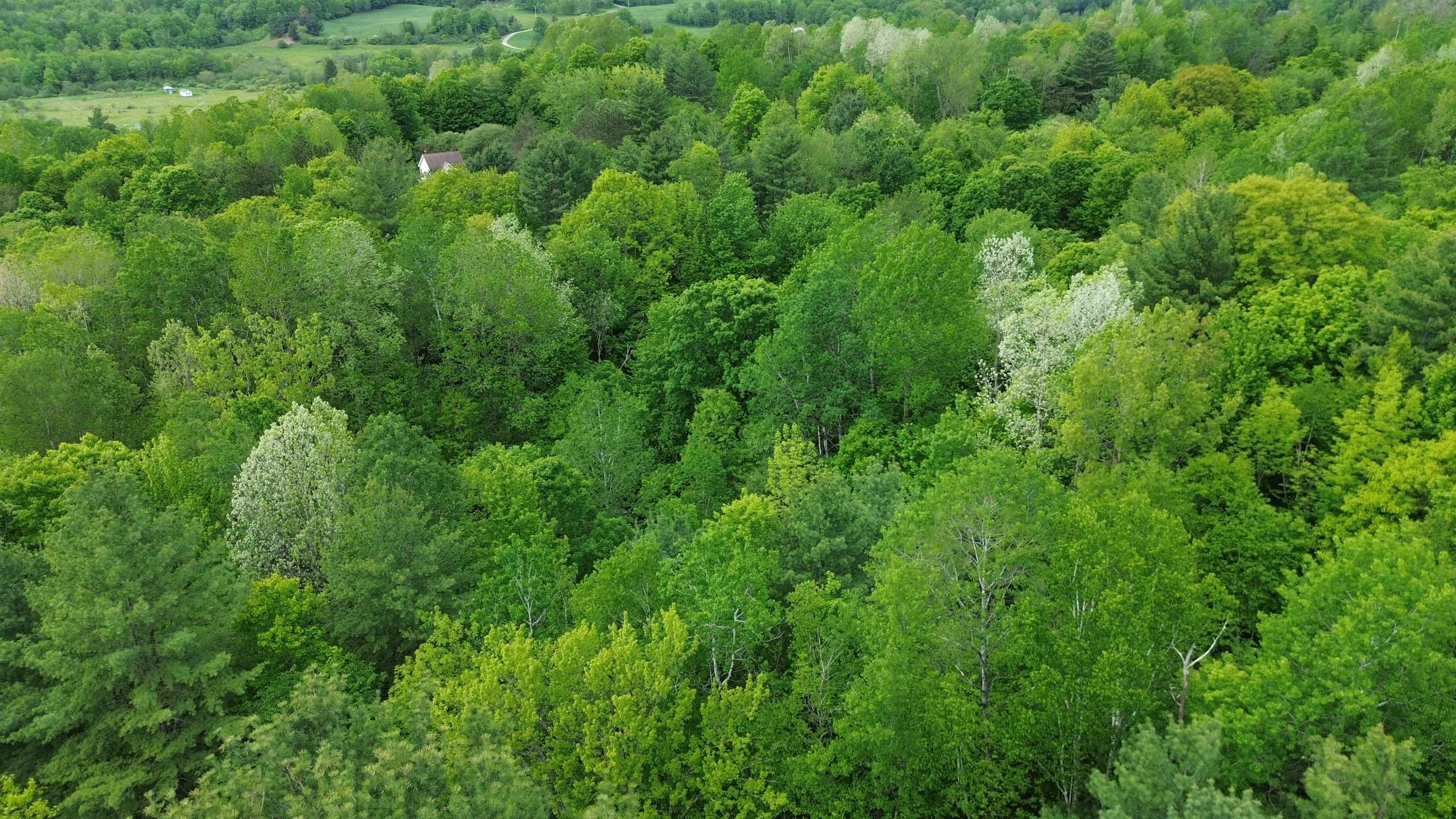7 Sugarhill Road Underhill, VT 05489 - Photo 11 of 13