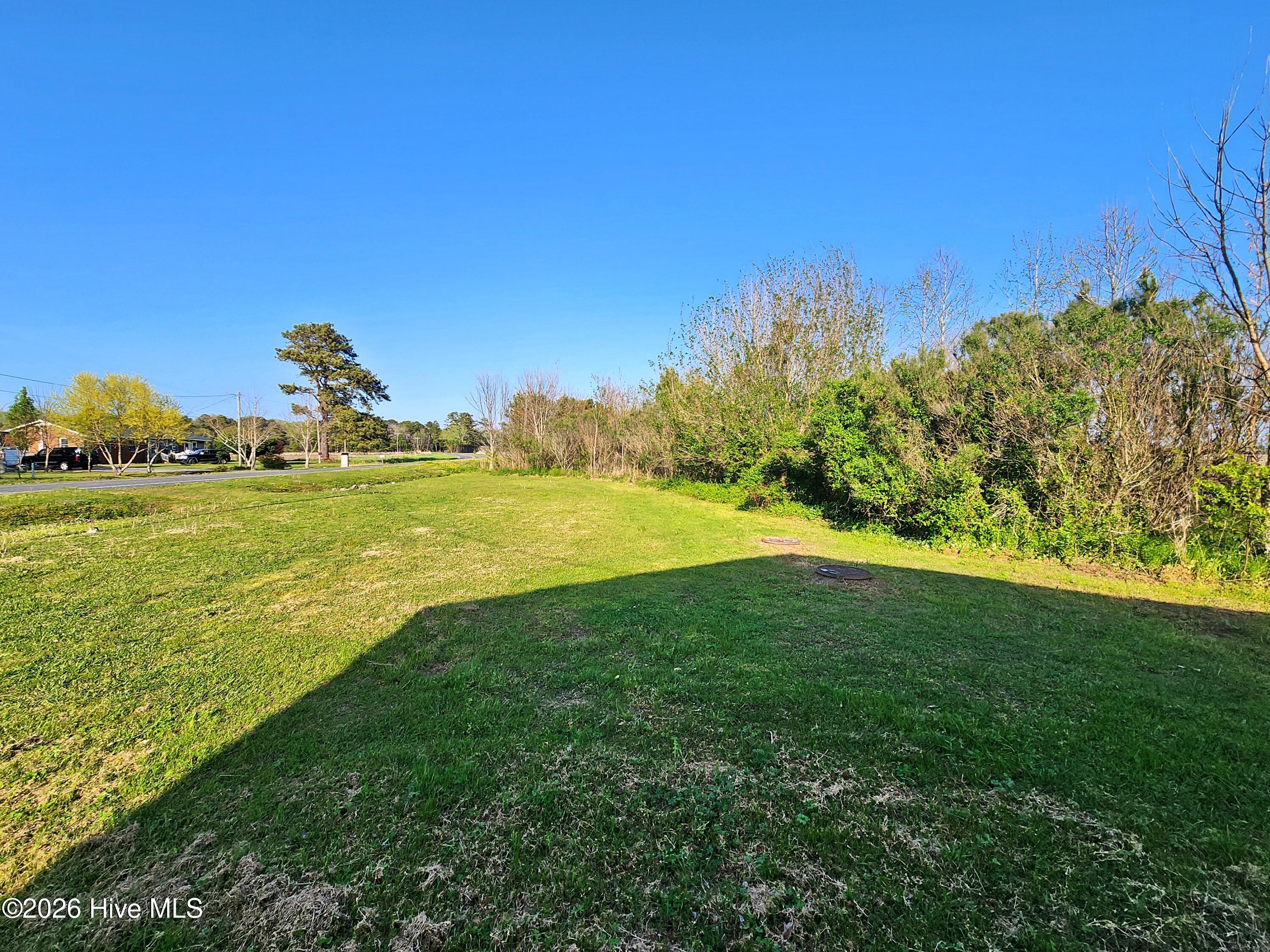 1729 Swamp Road Engelhard, NC 27824 - Photo 4 of 26 yard a