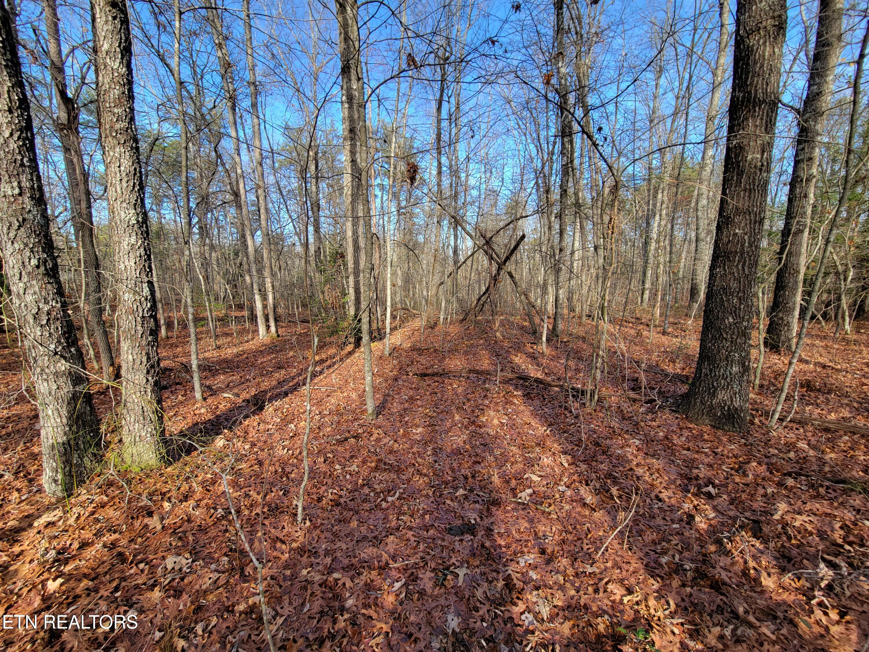 30 Laurel Loop Monterey, TN 38574 - Photo 3 of 12 Laurel Loop Lot 30 Photo 2
