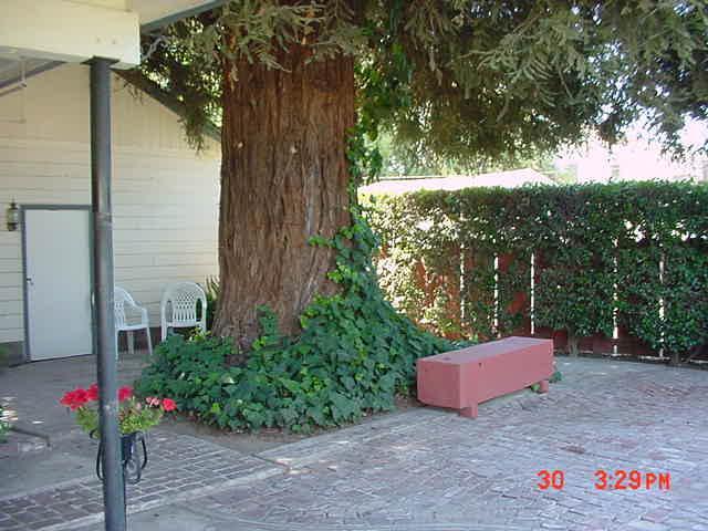 990 South Riverview Avenue Reedley, CA 93654 - Photo 4 of 29 Gallery Image 4