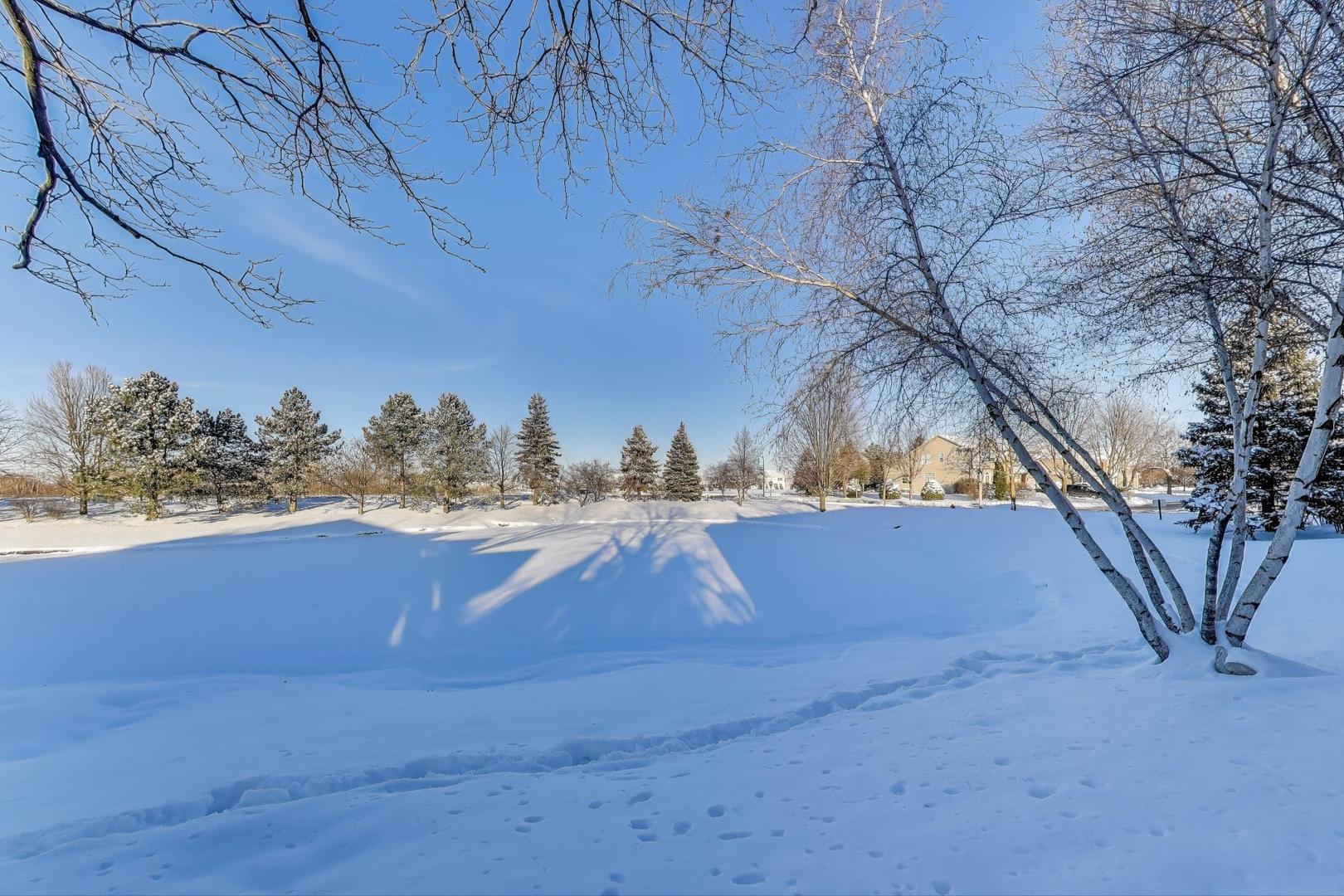 2304 Stonegate Road Algonquin, IL 60102 - Photo 5 of 42 a view of a yard with an outdoor space