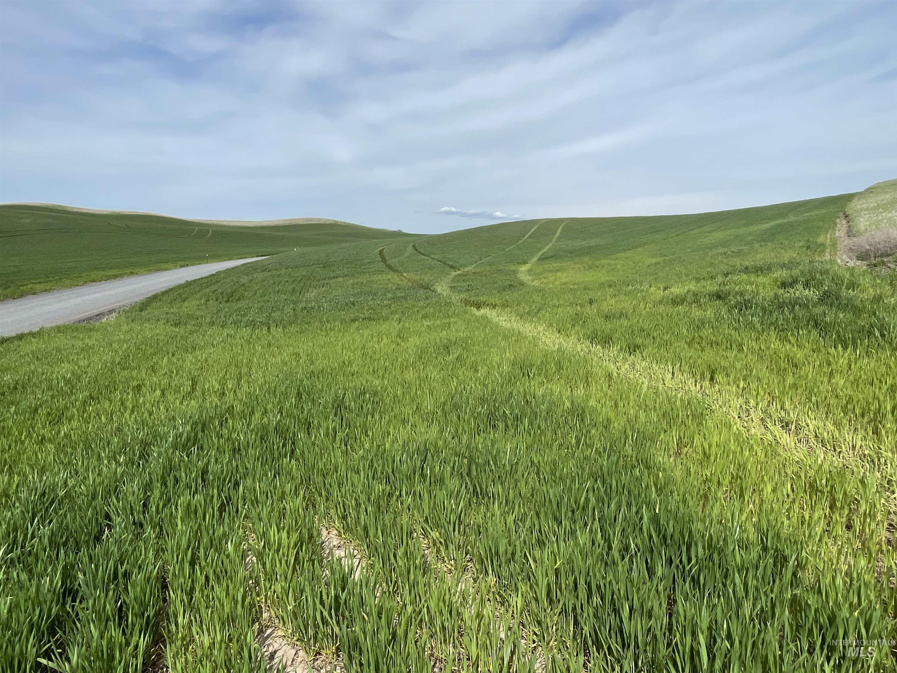 Nka Broenneke Road Moscow, ID 83843 - Photo 1 of 1 Gallery Image 1