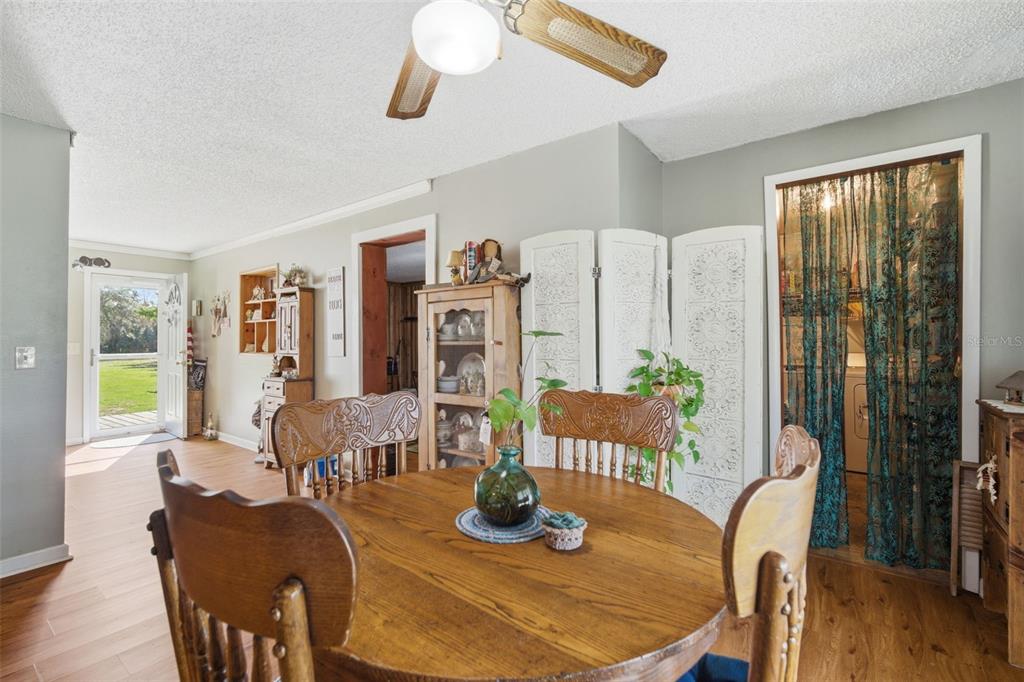 12461 Hobson Simmons Road Lithia, FL 33547 - Photo 30 of 58