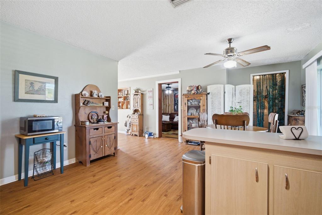 12461 Hobson Simmons Road Lithia, FL 33547 - Photo 34 of 58