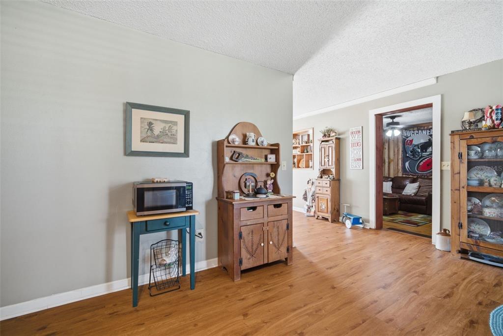 12461 Hobson Simmons Road Lithia, FL 33547 - Photo 35 of 58