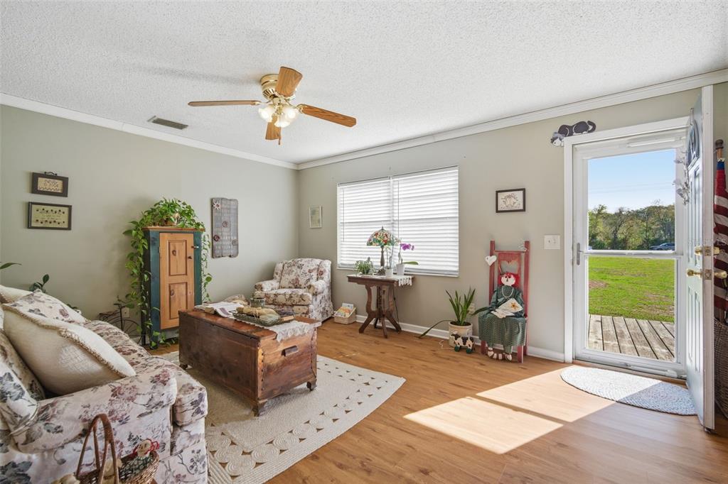 12461 Hobson Simmons Road Lithia, FL 33547 - Photo 4 of 58