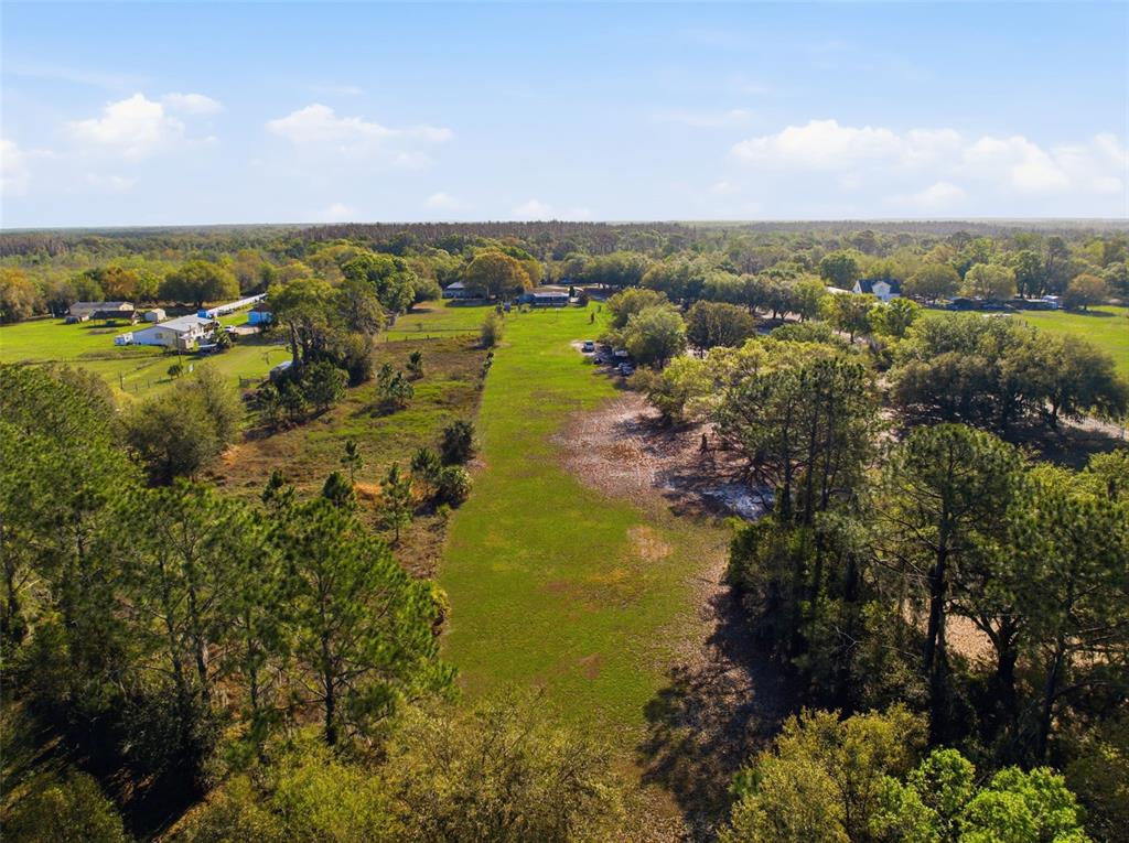 12461 Hobson Simmons Road Lithia, FL 33547 - Photo 47 of 58