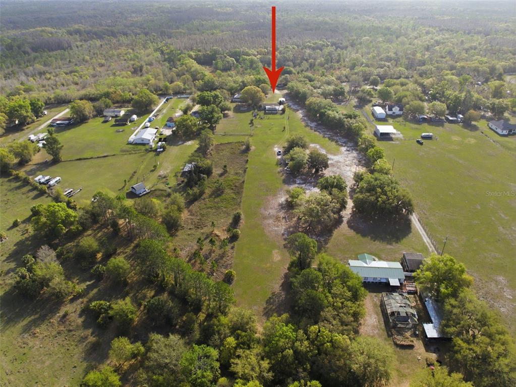 12461 Hobson Simmons Road Lithia, FL 33547 - Photo 50 of 58