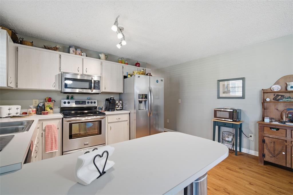 12461 Hobson Simmons Road Lithia, FL 33547 - Photo 5 of 58