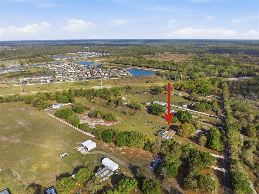 12461 Hobson Simmons Road Lithia, FL 33547 - Photo 53 of 58