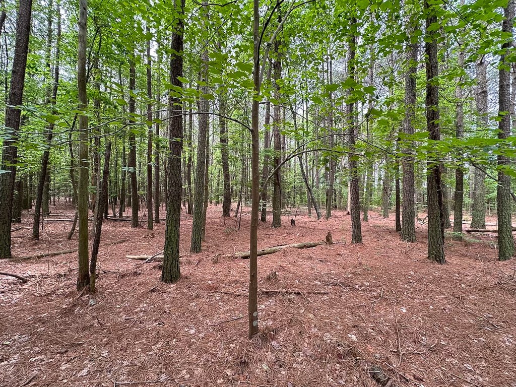 1.75-ac 1.75-ac Kegotank Road, Unit 2 Bloxom, VA 23308 - Photo 7 of 18
