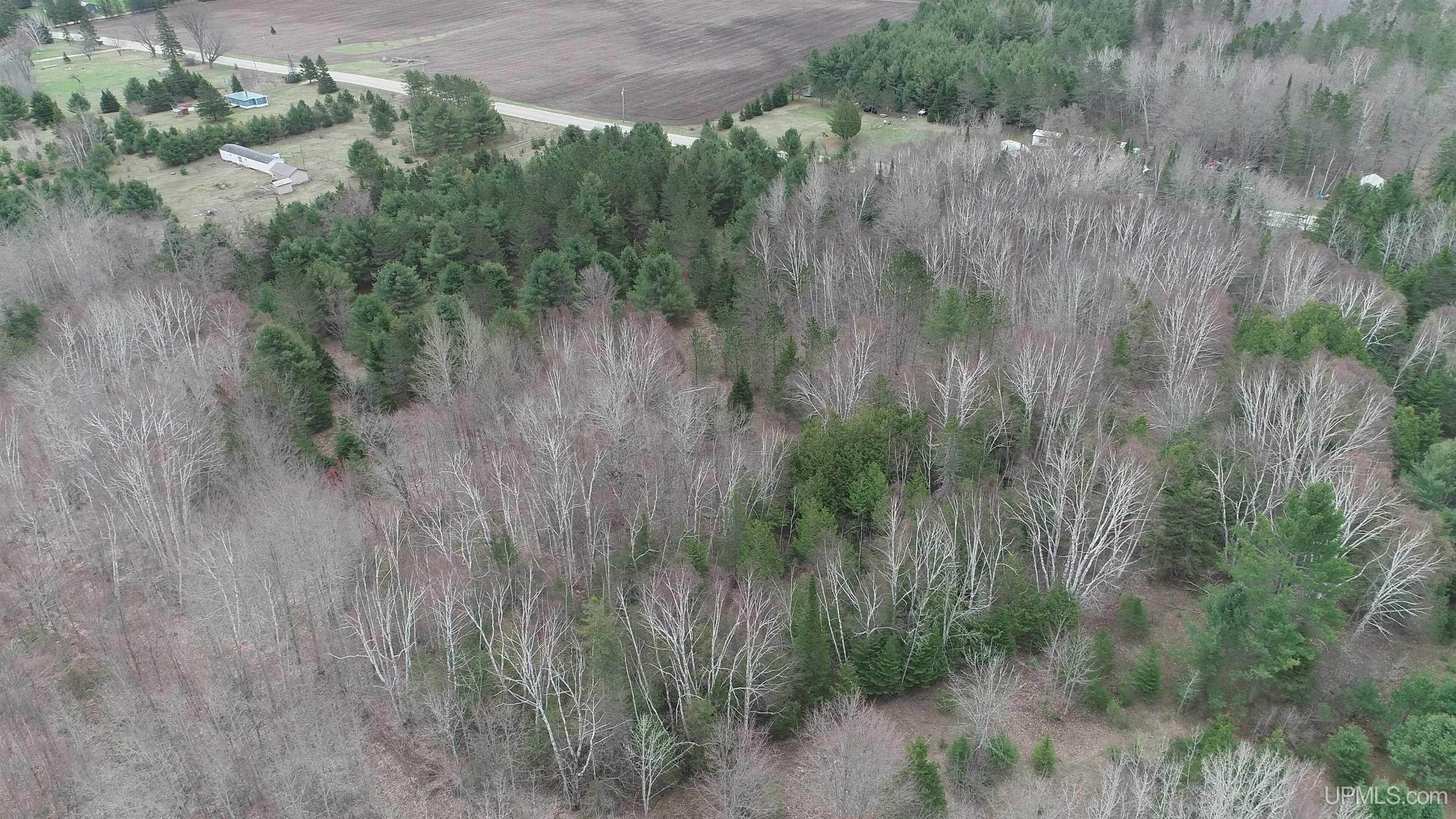 East 20 Quarry Road Gulliver, MI 49840 - Photo 29 of 47