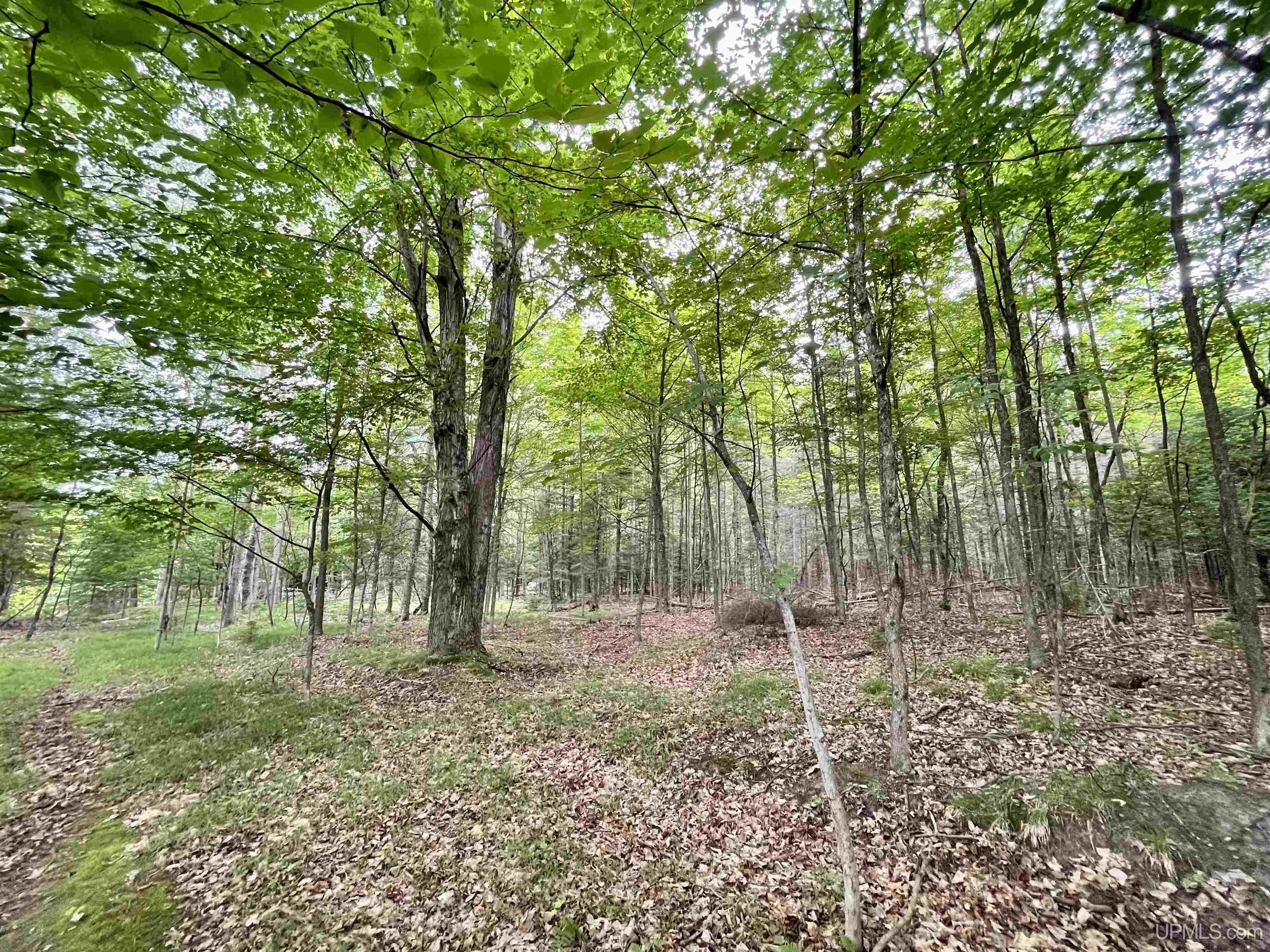 23.5 Rd Gladstone Mi 49837 Road Gladstone, MI 49837 - Photo 35 of 45