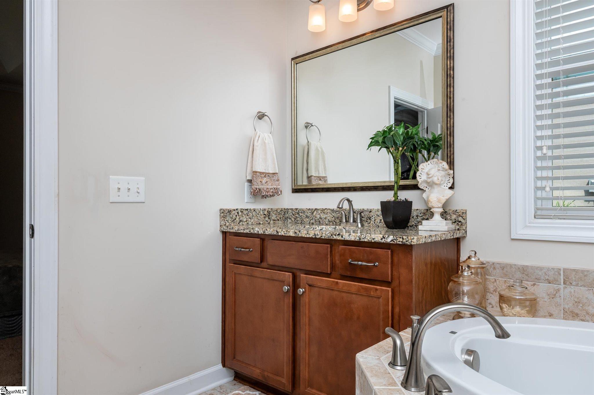 133 Belgian Blue Way Fountain Inn, SC 29644 - Photo 17 of 30 Gallery Image 17
