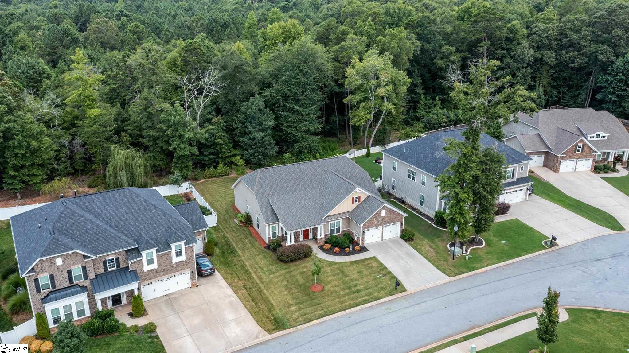 133 Belgian Blue Way Fountain Inn, SC 29644 - Photo 29 of 30 Gallery Image 29