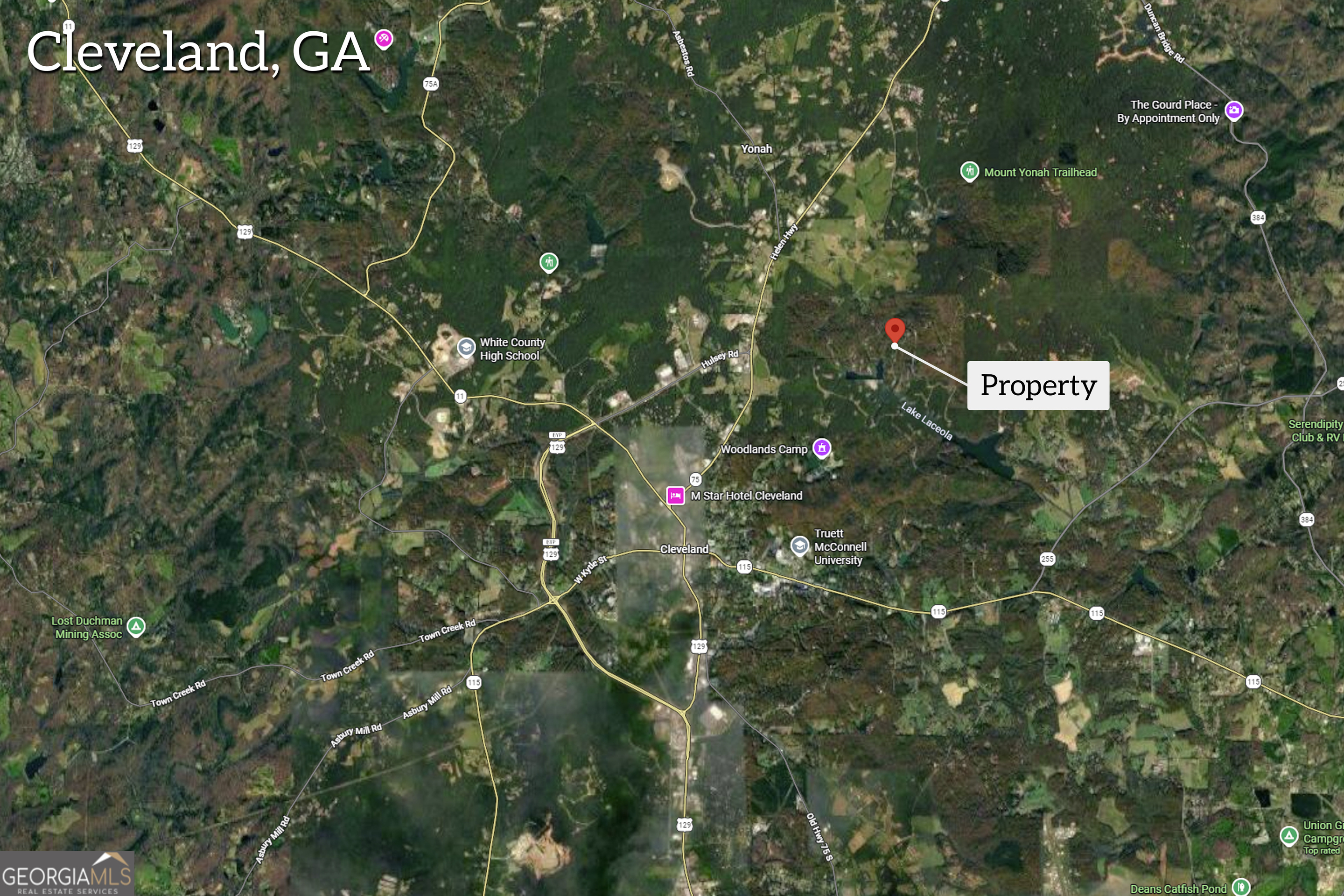 25 Forked Leaf Road Cleveland, GA 30528 - Photo 6 of 48