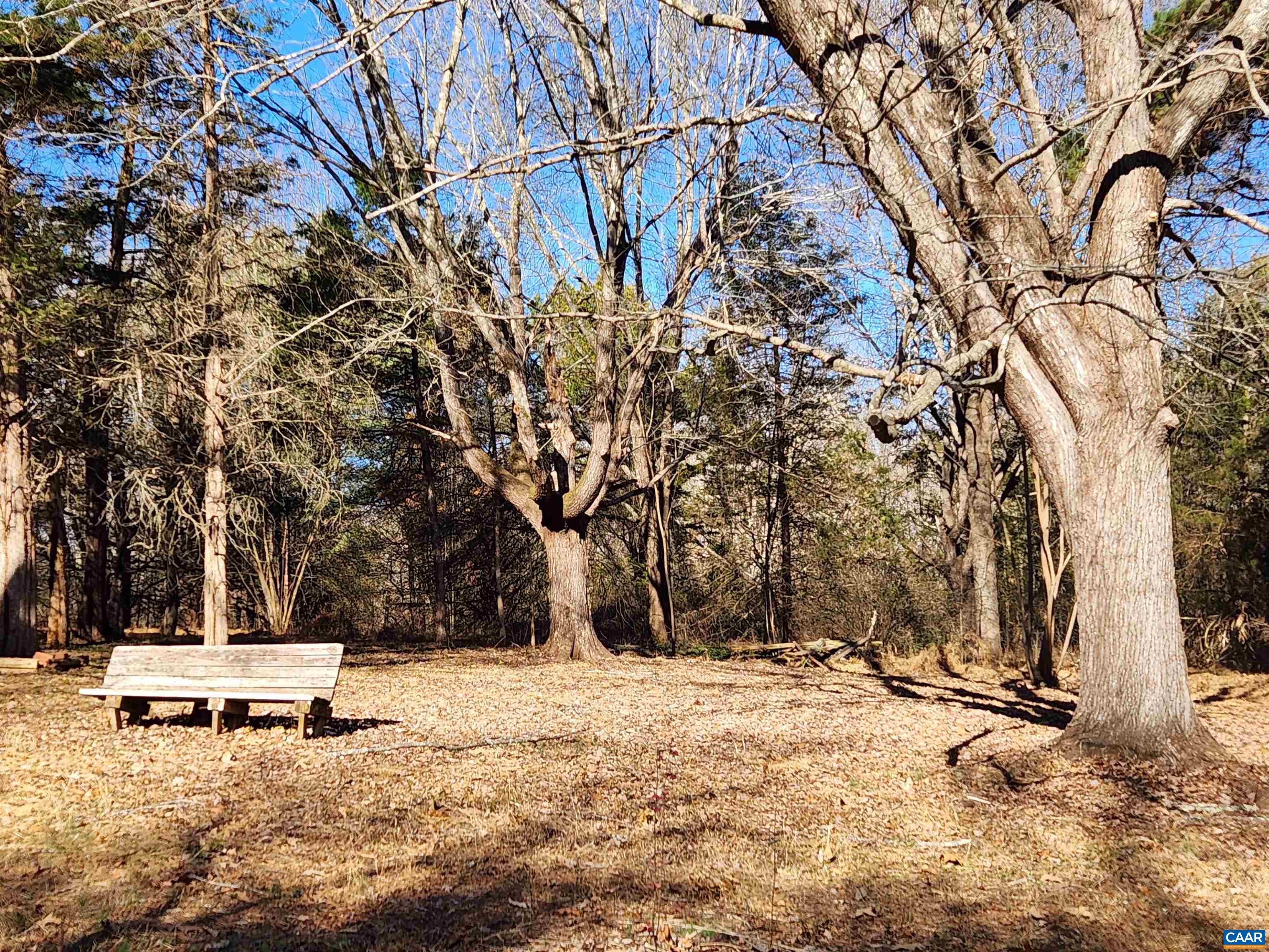 481 Rhodes School Lane Palmyra, VA 22963 - Photo 6 of 34 a view of street with trees