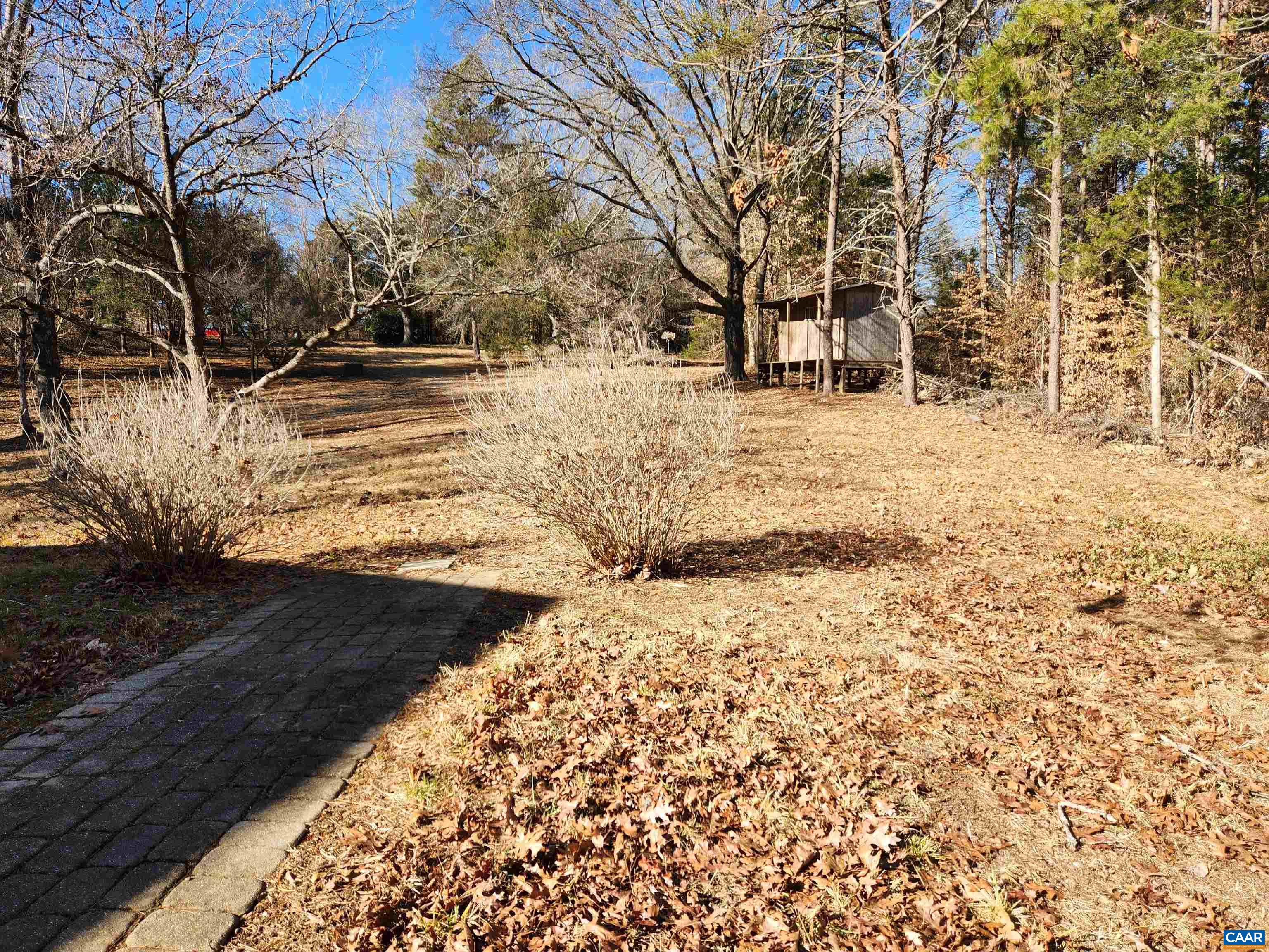 481 Rhodes School Lane Palmyra, VA 22963 - Photo 8 of 34 a view of a yard covered with snow