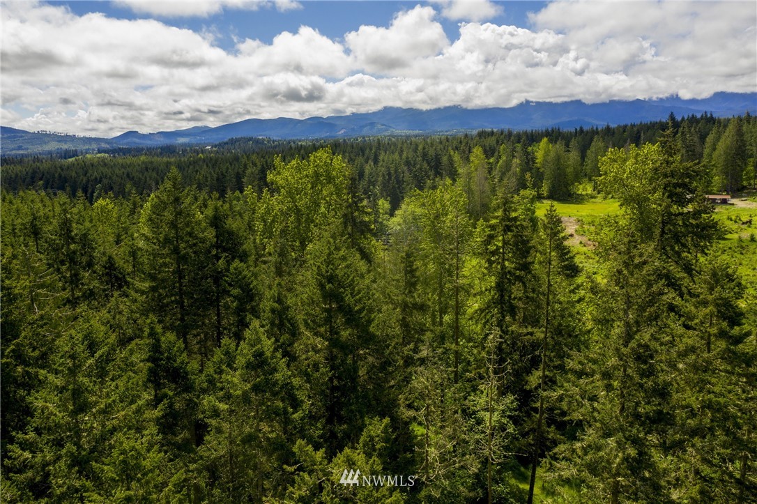 9999 Amarillo Road Port Angeles, WA 98362 - Photo 15 of 20