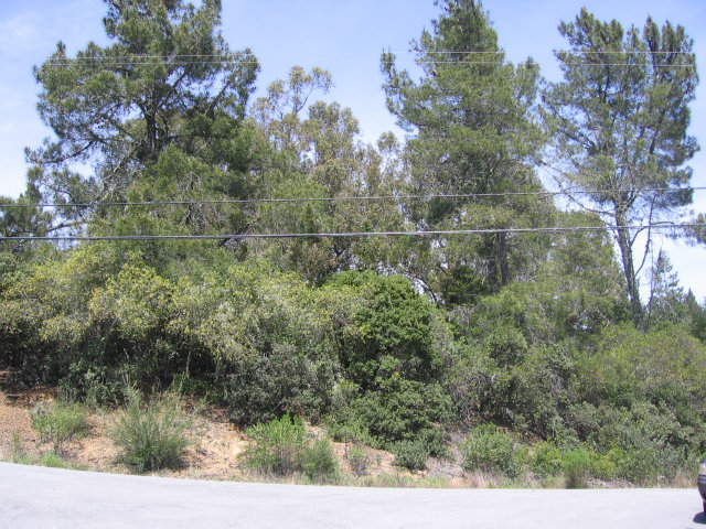 0 Pineridge Road Santa Cruz, CA 95060 - Photo 1 of 9 Gallery Image 1