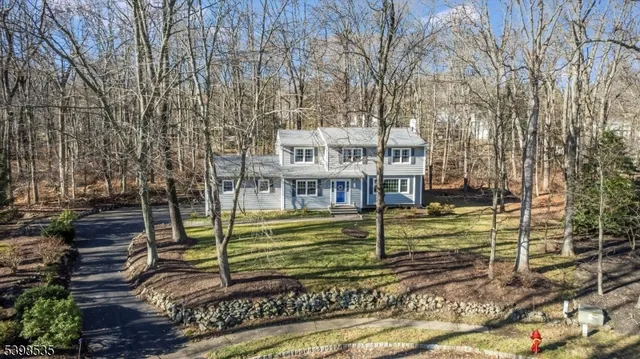 a view of a dry yard with trees