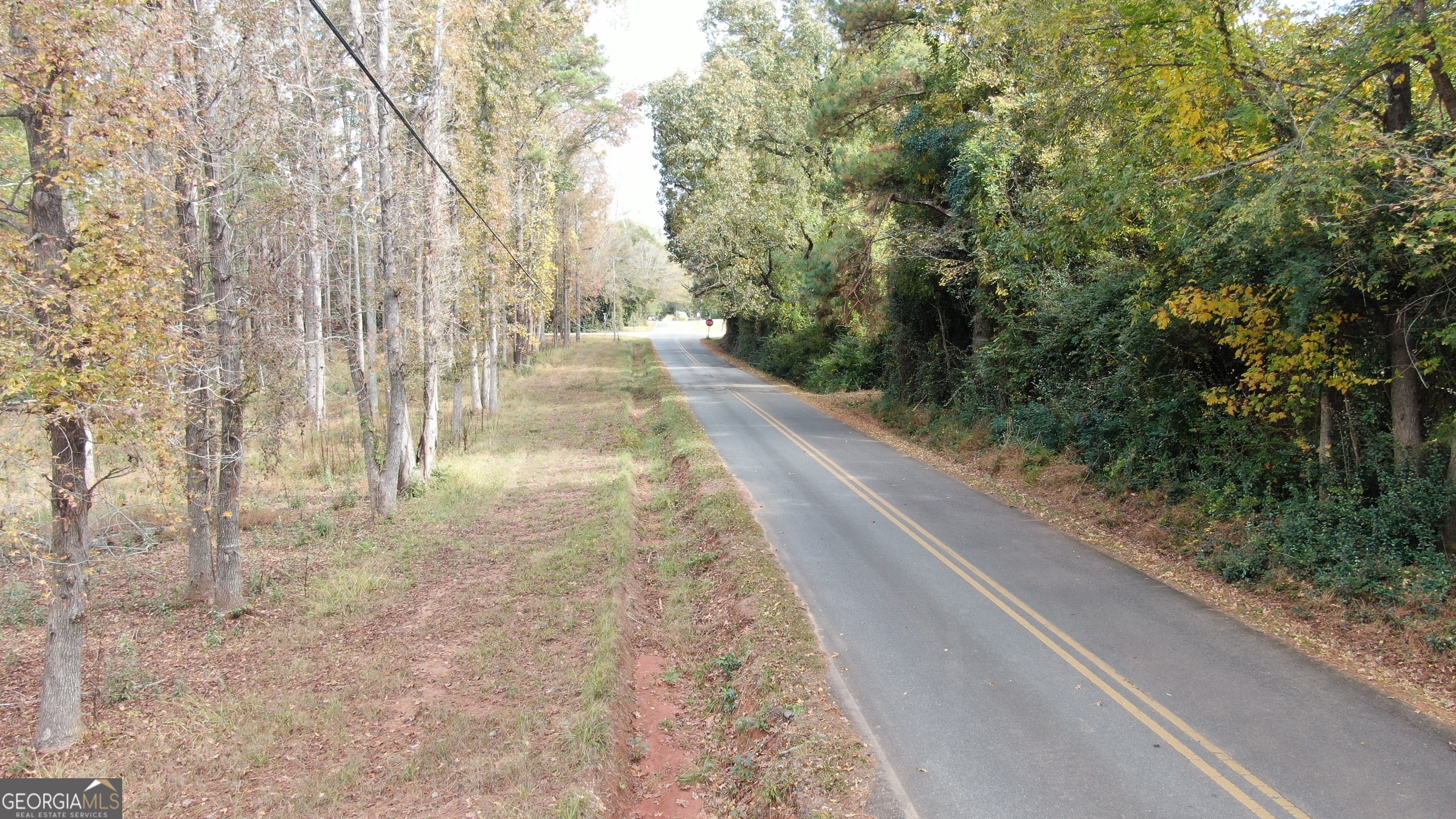 1880 Cook Road Zebulon, GA 30295 - Photo 6 of 8 a view of a yard with large trees