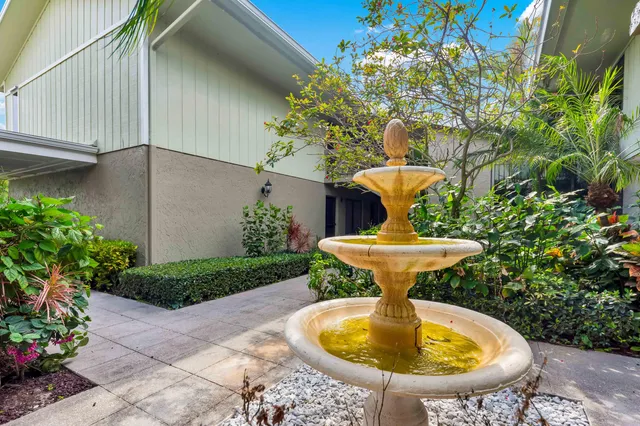 a potted plant sitting in front of a window