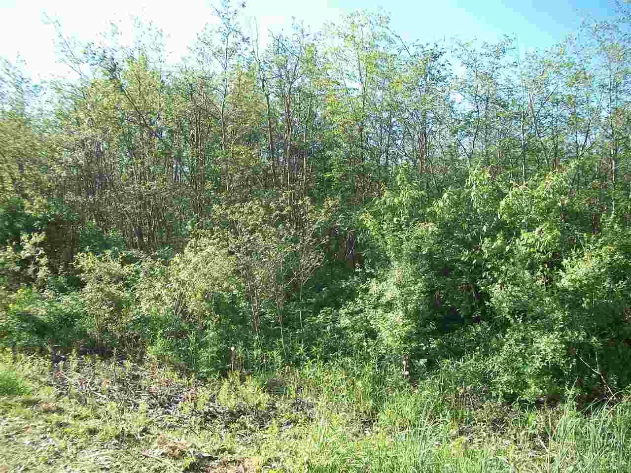 Tbd Mortimer Line Croswell, MI 48422 - Photo 5 of 6
