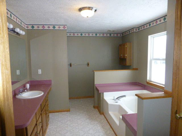8011 Samaria Road Riga, MI 49276 - Photo 6 of 10 Master Bath